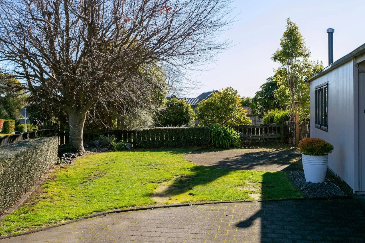 A backyard with a large tree, green lawn, paved pathway, and a white house with a potted plant near the house wall. The sky is clear and sunny.