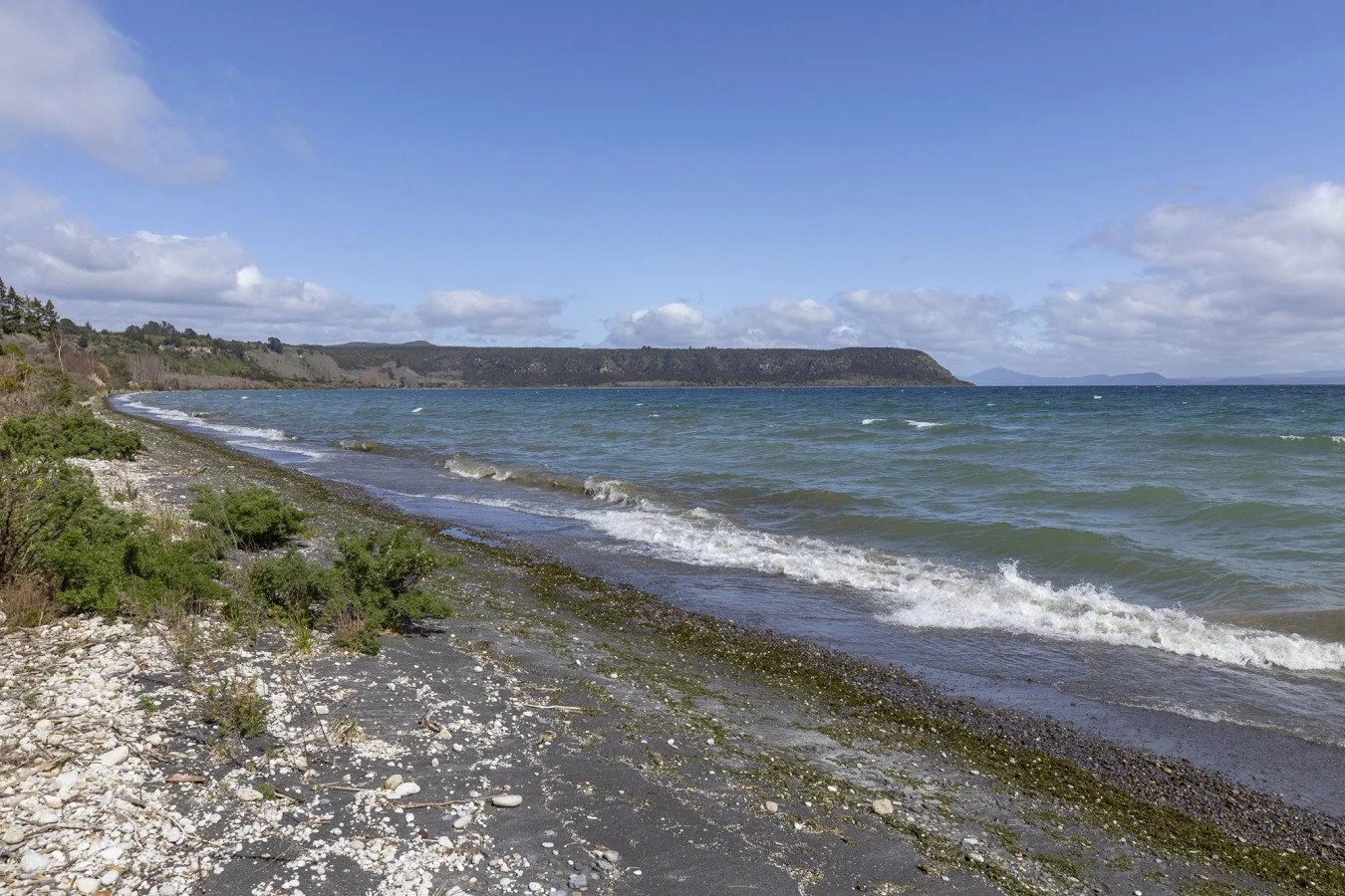 A view of the ocean with small waves crashing on a rocky and sandy beach, green shrubbery along the shoreline, and a distant cliff under a partly cloudy sky.