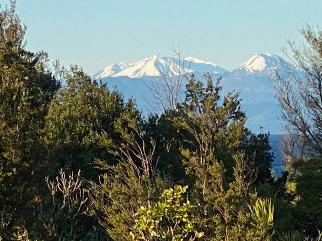 Snow-capped mountains in the background framed by green trees and bushes in the foreground.
