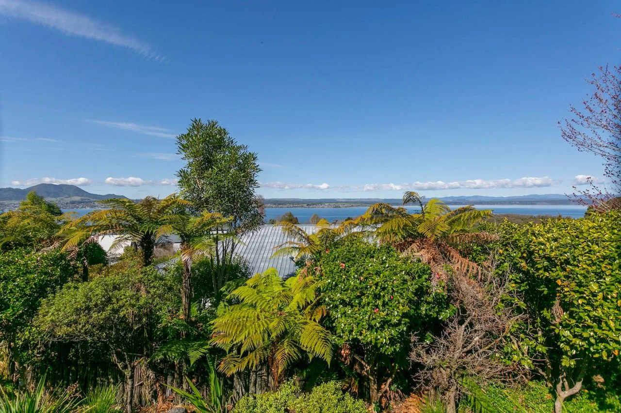 A scenic view of lush green trees and plants overlooking a body of water with mountains in the background on a clear, sunny day.