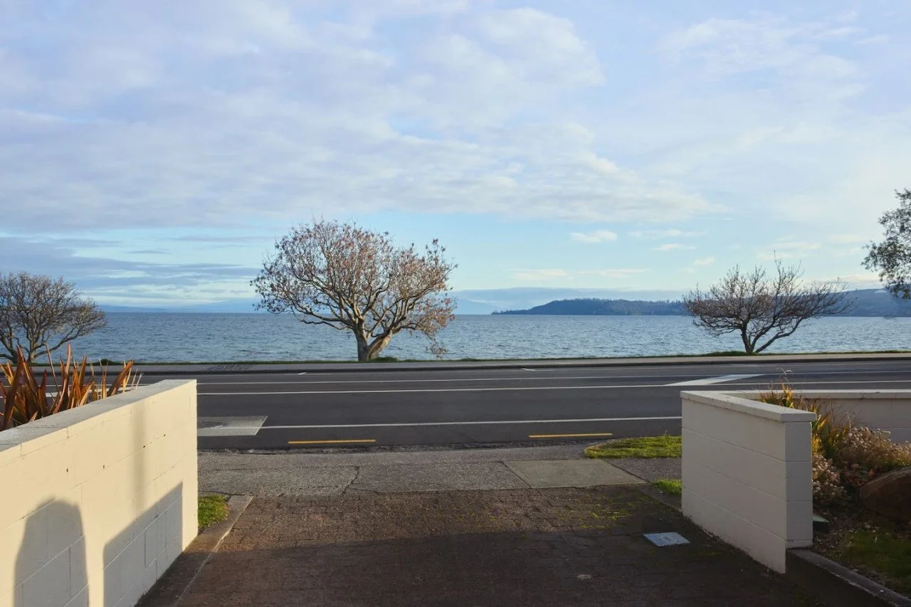 View of a shoreline with two trees, a road, and a body of water under a cloudy sky.