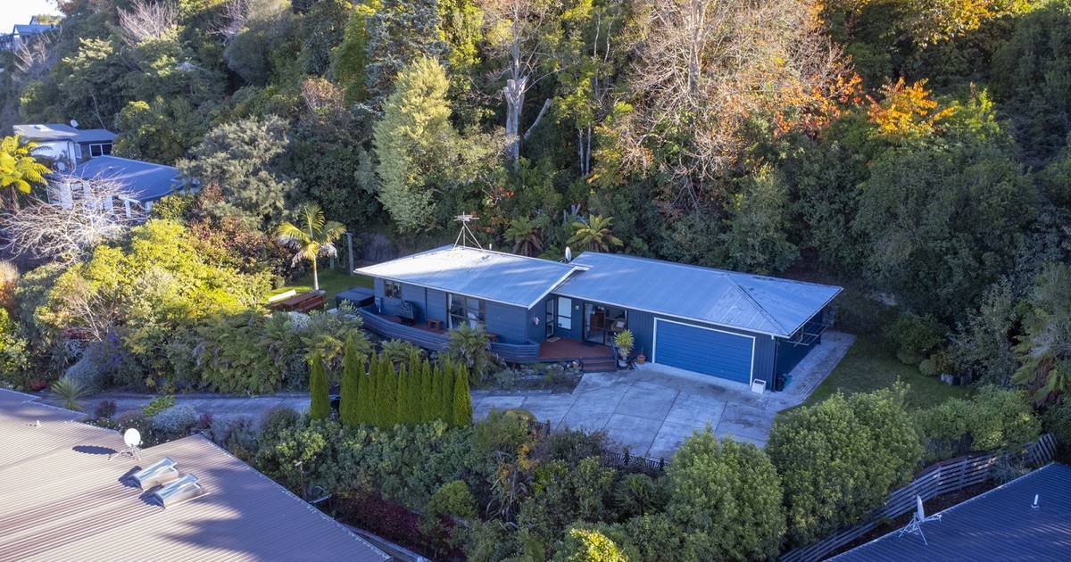 Aerial view of a blue house with a metal roof, surrounded by lush greenery and trees.