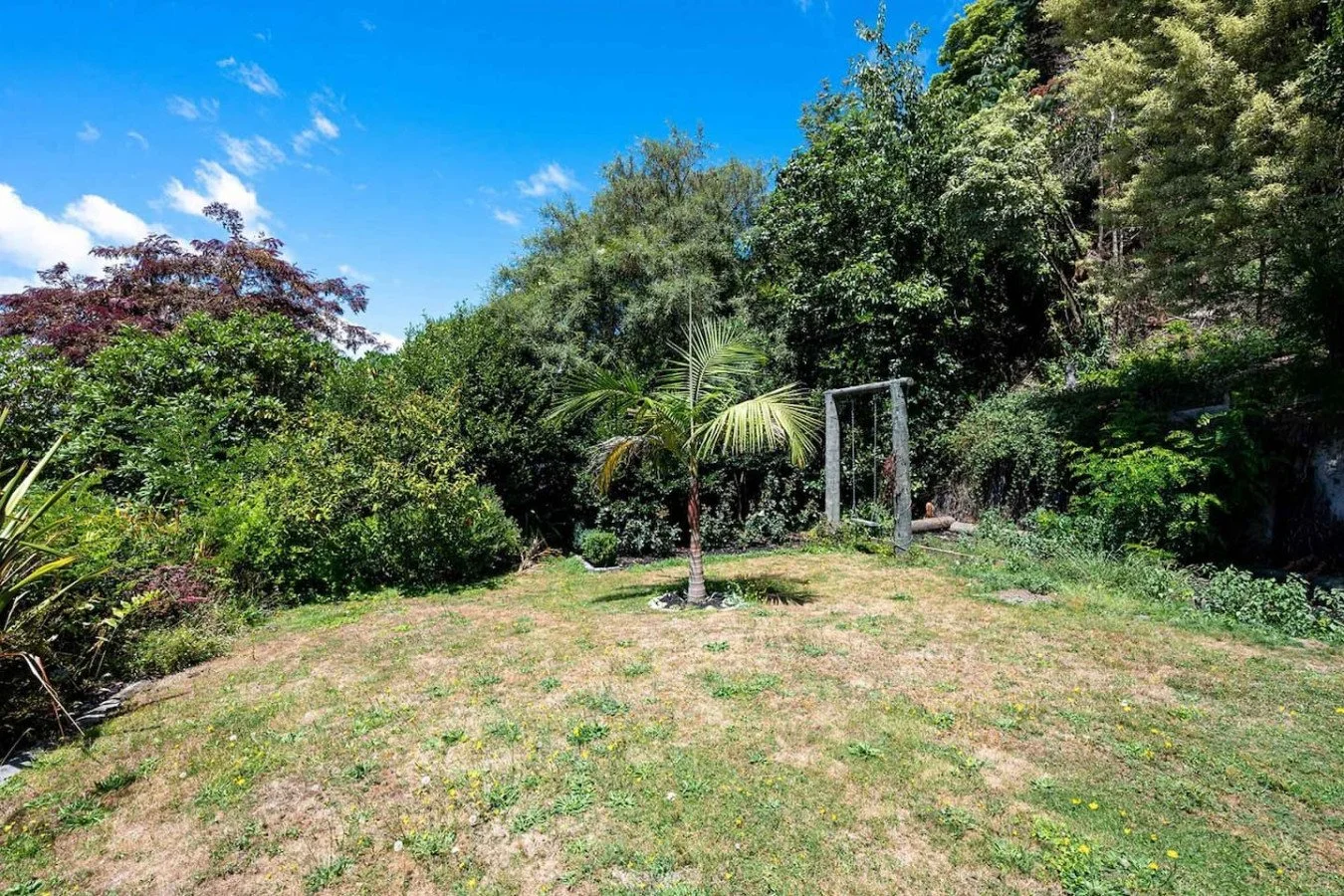 A backyard with a grassy lawn, a small palm tree in the center, and a metal swing set behind it, surrounded by lush green bushes and trees. The sky is clear with some scattered clouds.