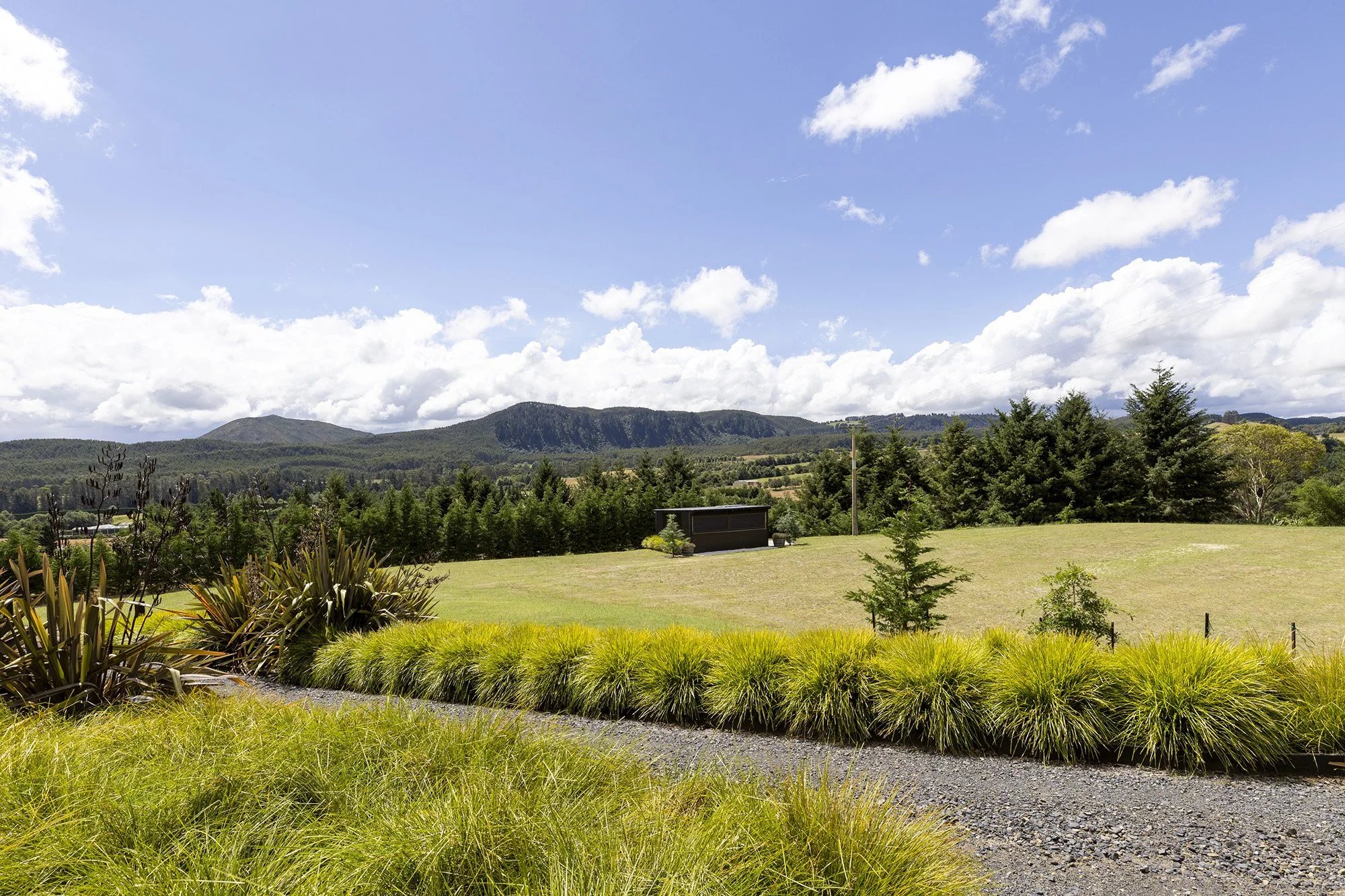 jC_659WhangamataRd_10.jpg