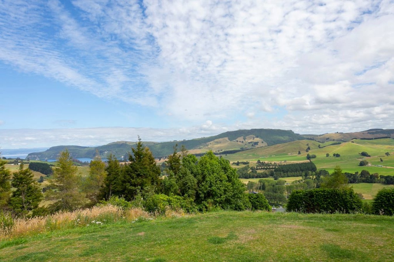 Scenic view of rolling green hills with scattered trees and shrubs, under a partly cloudy sky with blue and white clouds.