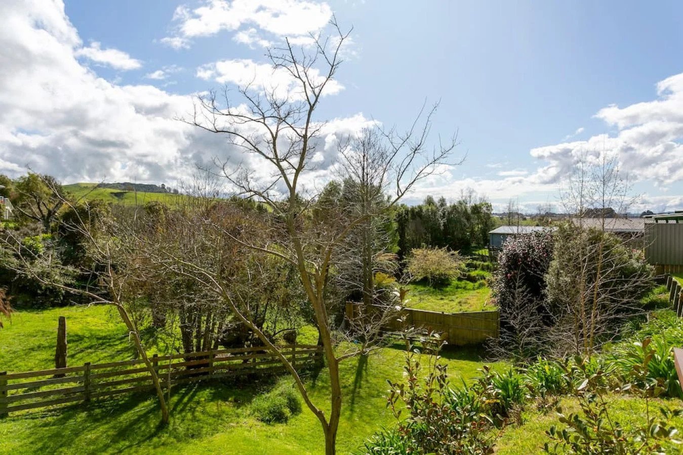 A backyard with a bare tree in the foreground, a lush green lawn, bushes, and a fence, under a partly cloudy sky.