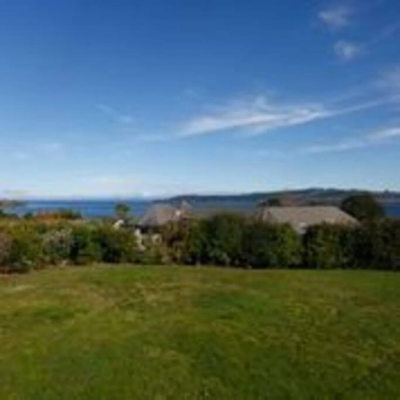 Blurred image of a grassy area with trees and houses, with a blue sky and some clouds, overlooking a body of water in the distance.