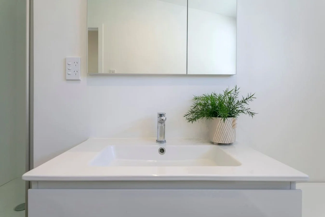 Bathroom sink with a potted green plant, mirror and white walls.