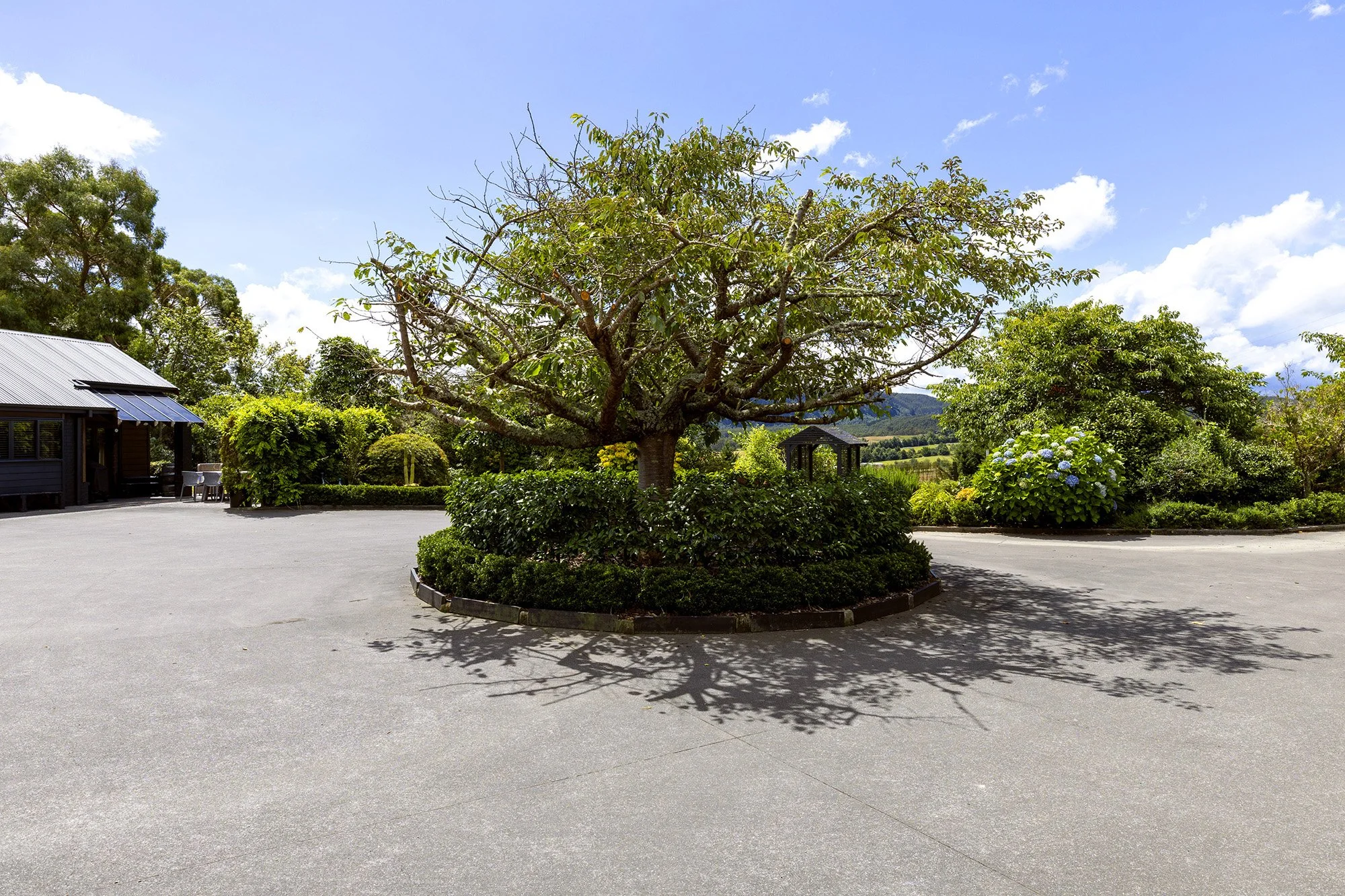 jC_659WhangamataRd_05.jpg
