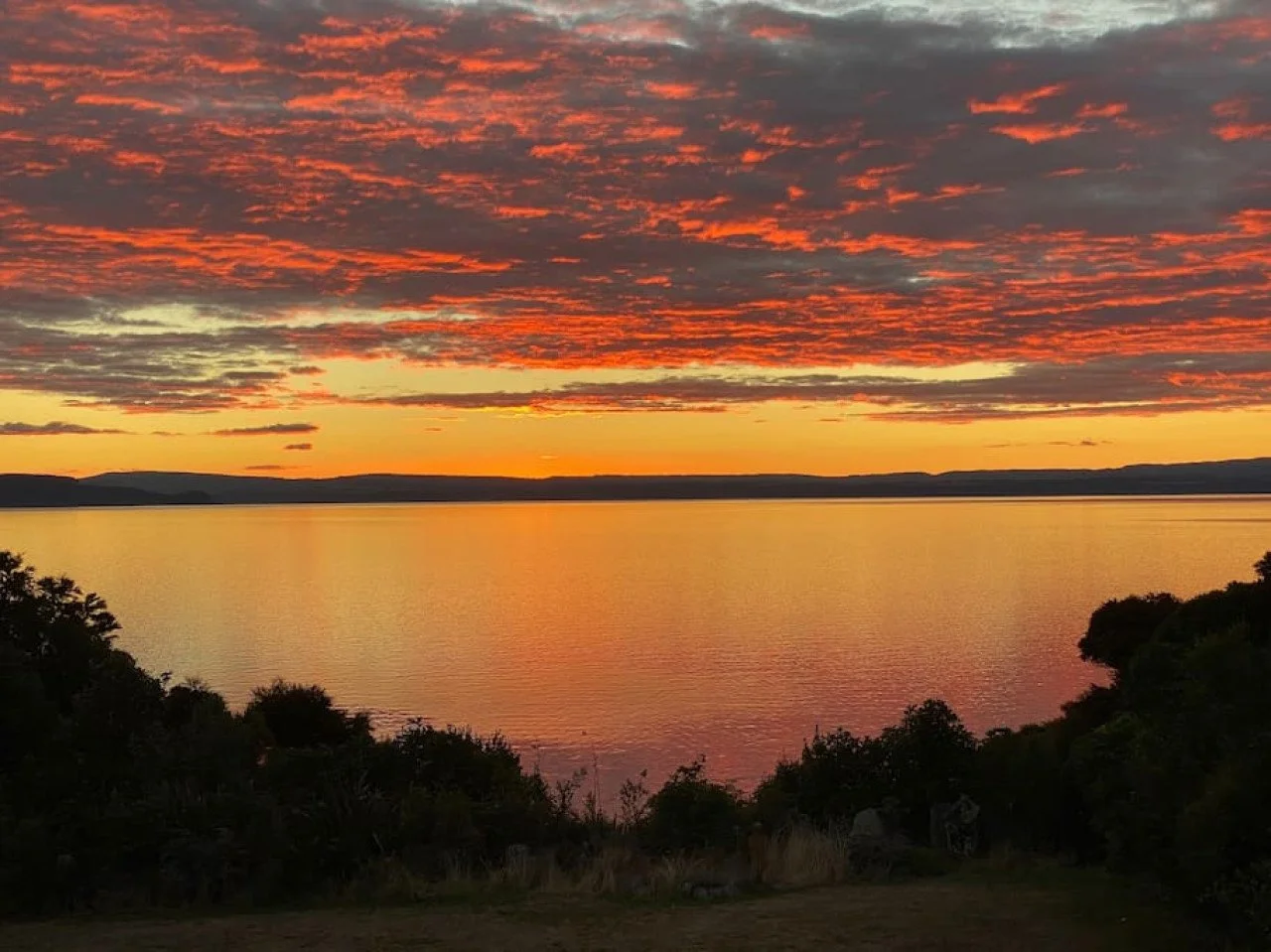 Sunset over a calm lake with colorful clouds and silhouetted trees in the foreground.