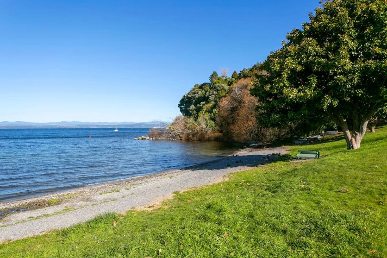 A peaceful lakeside scene with a grassy area, trees, and a pebble beach leading to calm blue water under a clear sky.