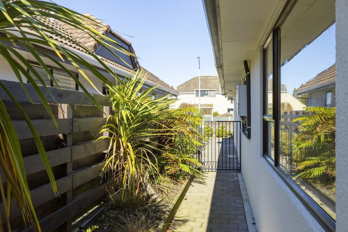 Side view of a narrow garden path beside a house, with plants on the left and large windows on the right, in bright sunlight.