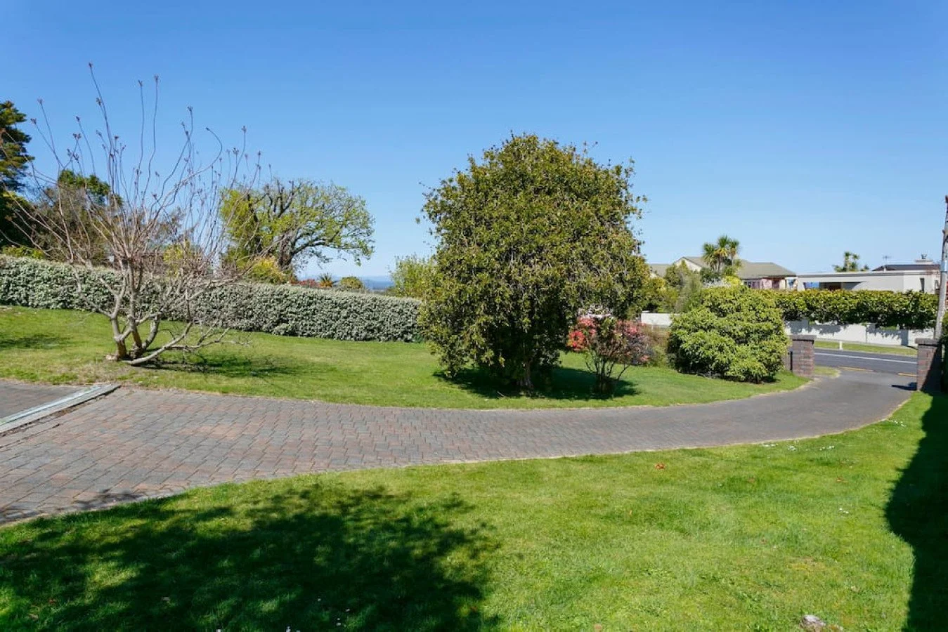 A neatly landscaped yard with green grass, a brick driveway, and various trees and shrubs, under a clear blue sky.