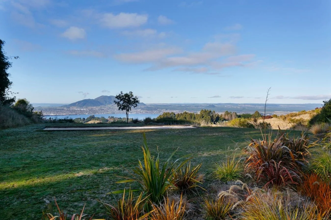 Scenic view of a grassy park with a lake and mountains in the background, featuring a few trees and plants in the foreground.