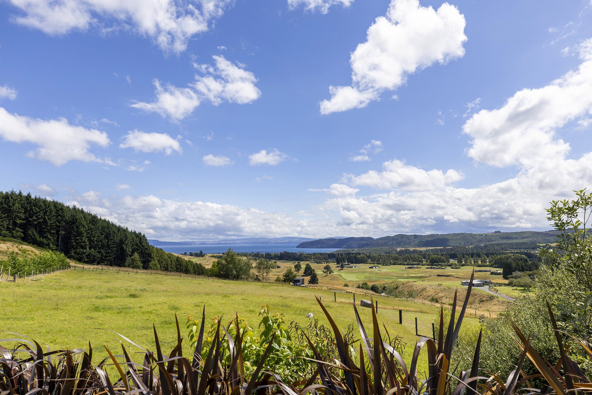 jC_659WhangamataRd_25.jpg