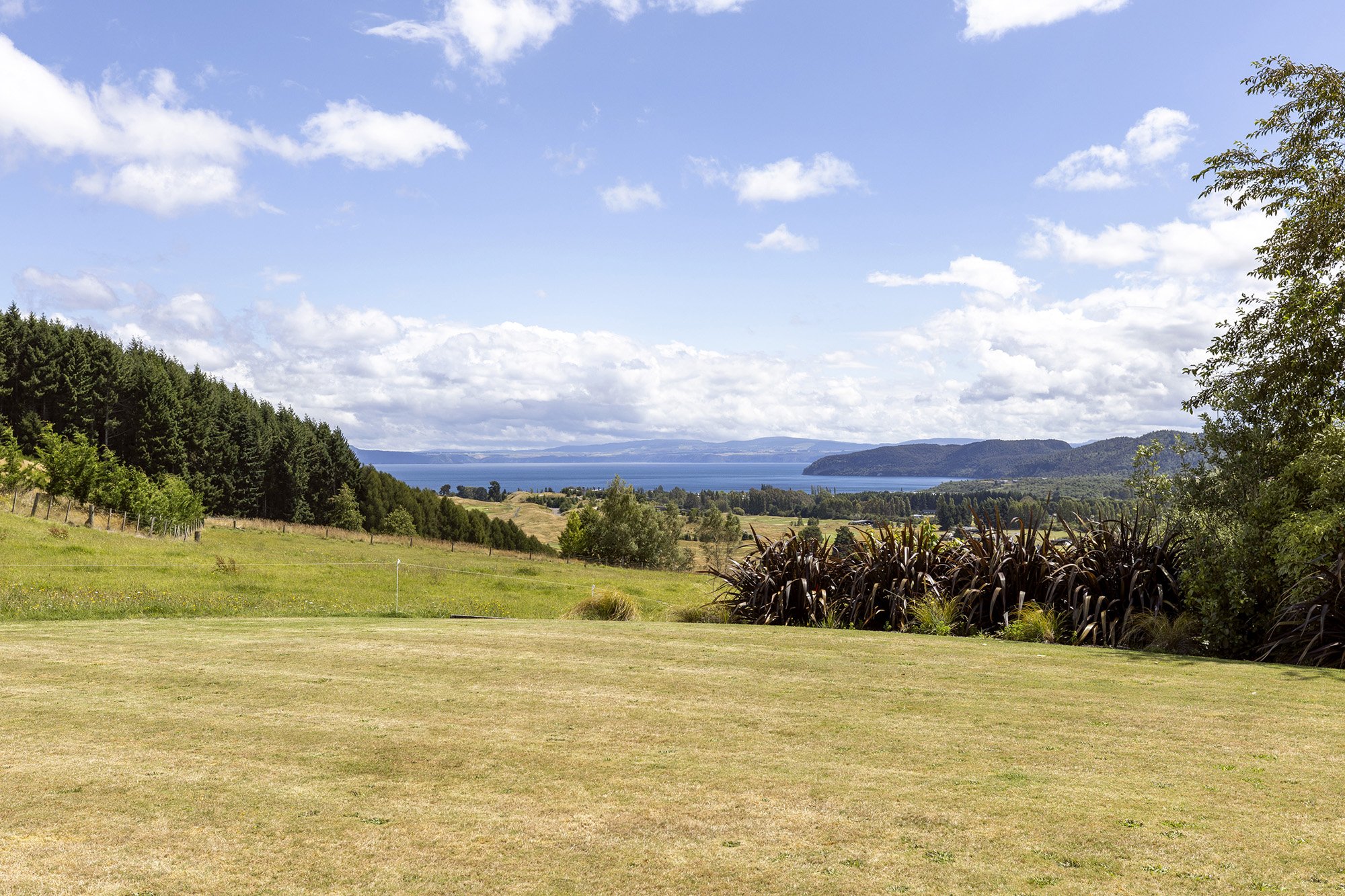 jC_659WhangamataRd_23.jpg