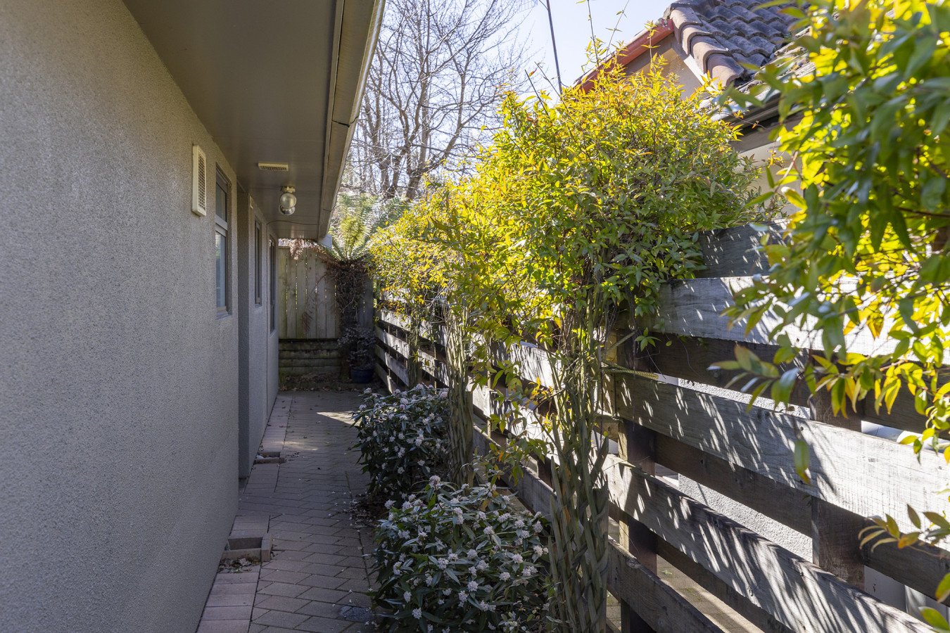 Narrow outdoor side yard with grass, shrubs, and flowers along a wooden fence, adjacent to a house with exterior walls and small windows, under a clear sky during daytime.