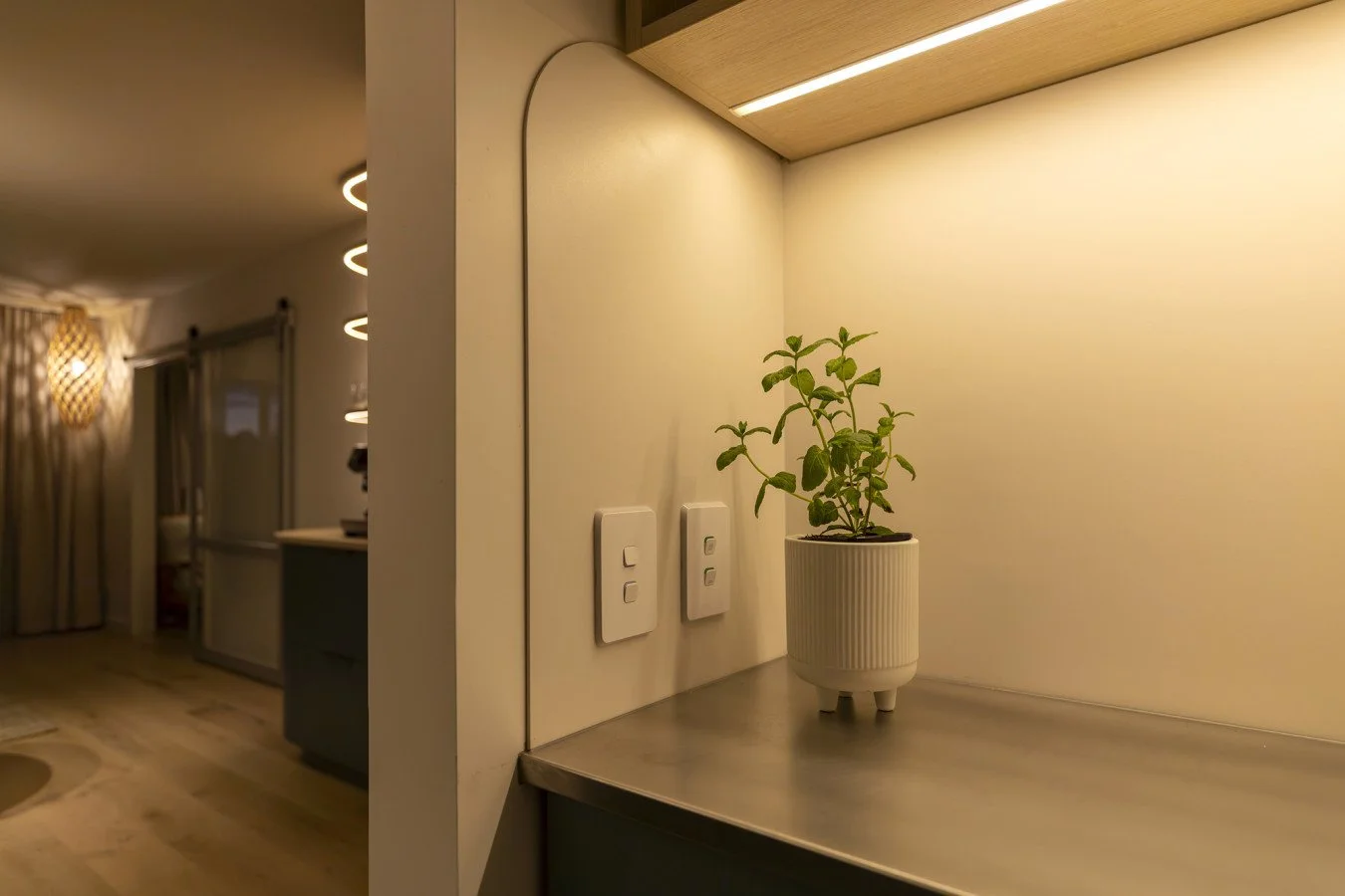 A potted plant on a countertop in a modern interior setting with light-colored walls and warm lighting.