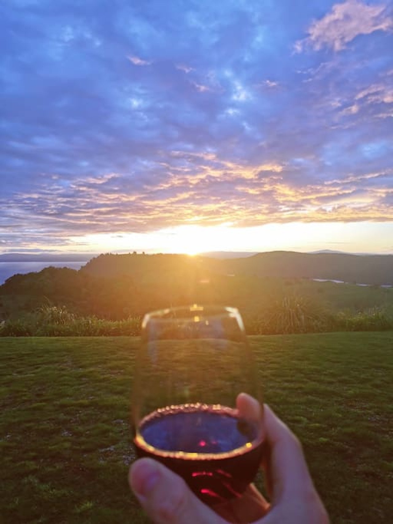 Person holding a glass of red wine outdoors during sunset, with a landscape of hills and a cloudy sky in the background.