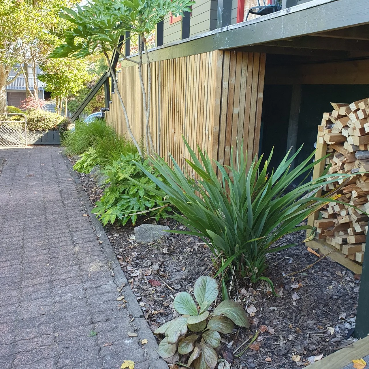 A garden bed with leafy green plants along a paved sidewalk next to a wooden house exterior with a stack of firewood.