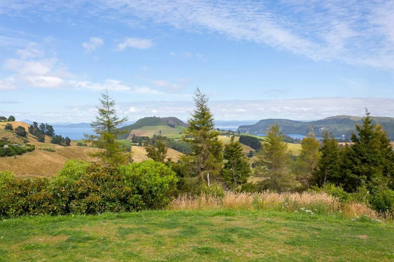 Scenic landscape with green grassy foreground, various trees, rolling hills, and mountains in the distance under a partly cloudy sky.