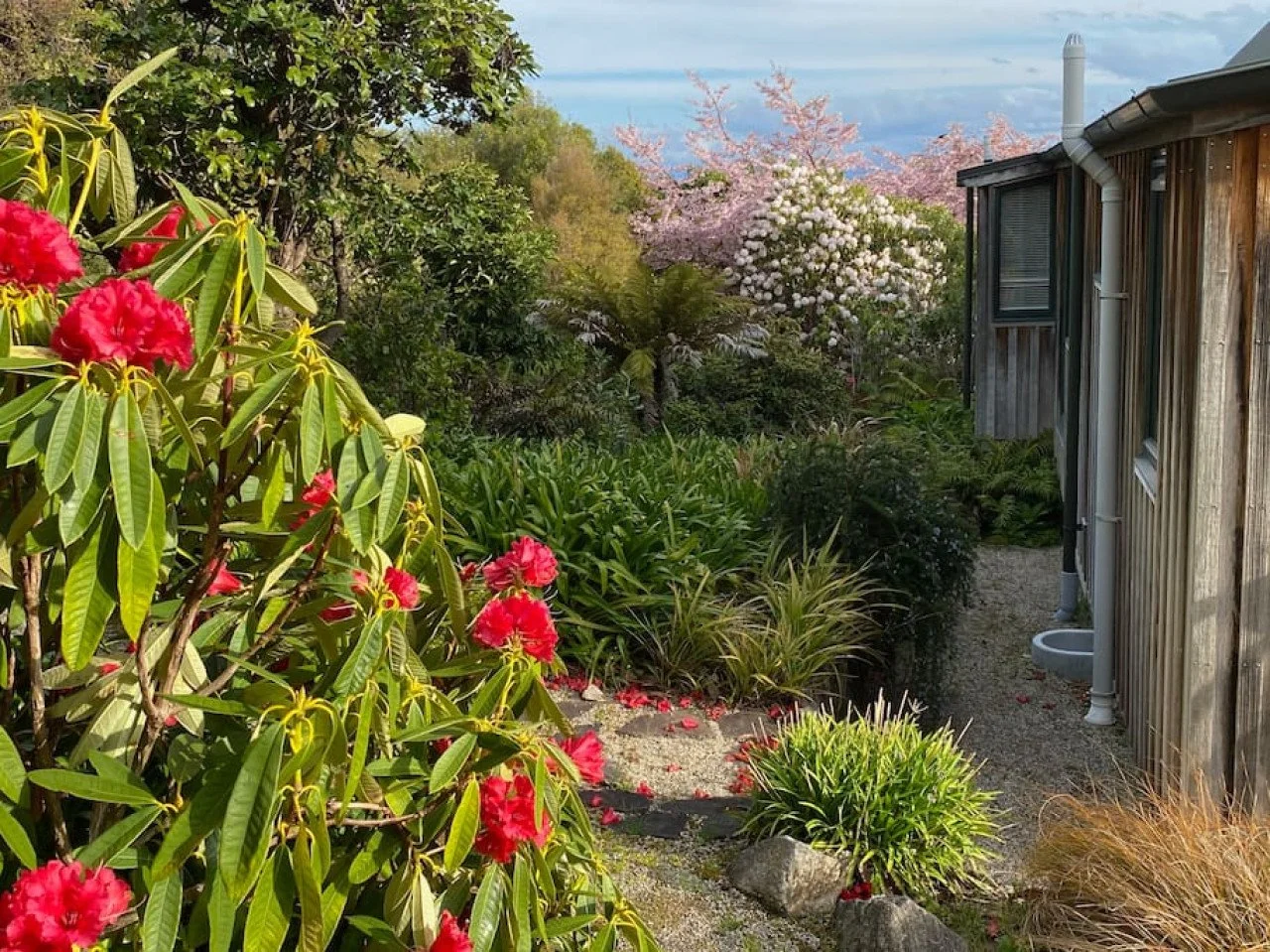A lush garden path with pink and white flowering trees and green shrubs, adjacent to a wooden house with a rain gutter.