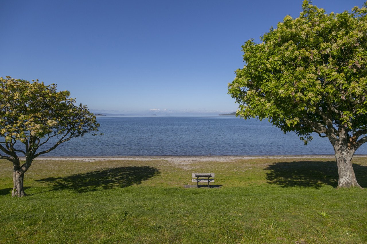 A lakeside scene with green grass, two trees casting shadows, a bench facing the water, and a calm lake under a clear blue sky with distant land on the horizon.