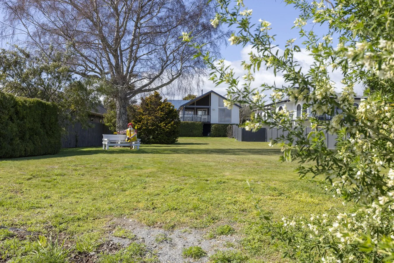 A suburban yard with green grass, a leafless tree, bushes, and a house in the background. There is a white bench with a decorative clown figure sitting on it. White flowering bush in the foreground.