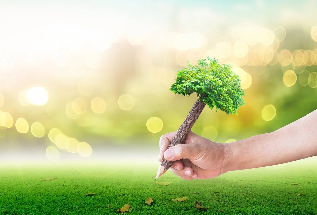 A person's hand holding a pencil with the eraser end shaped like a small green tree, drawing on a grassy field with a blurred background.