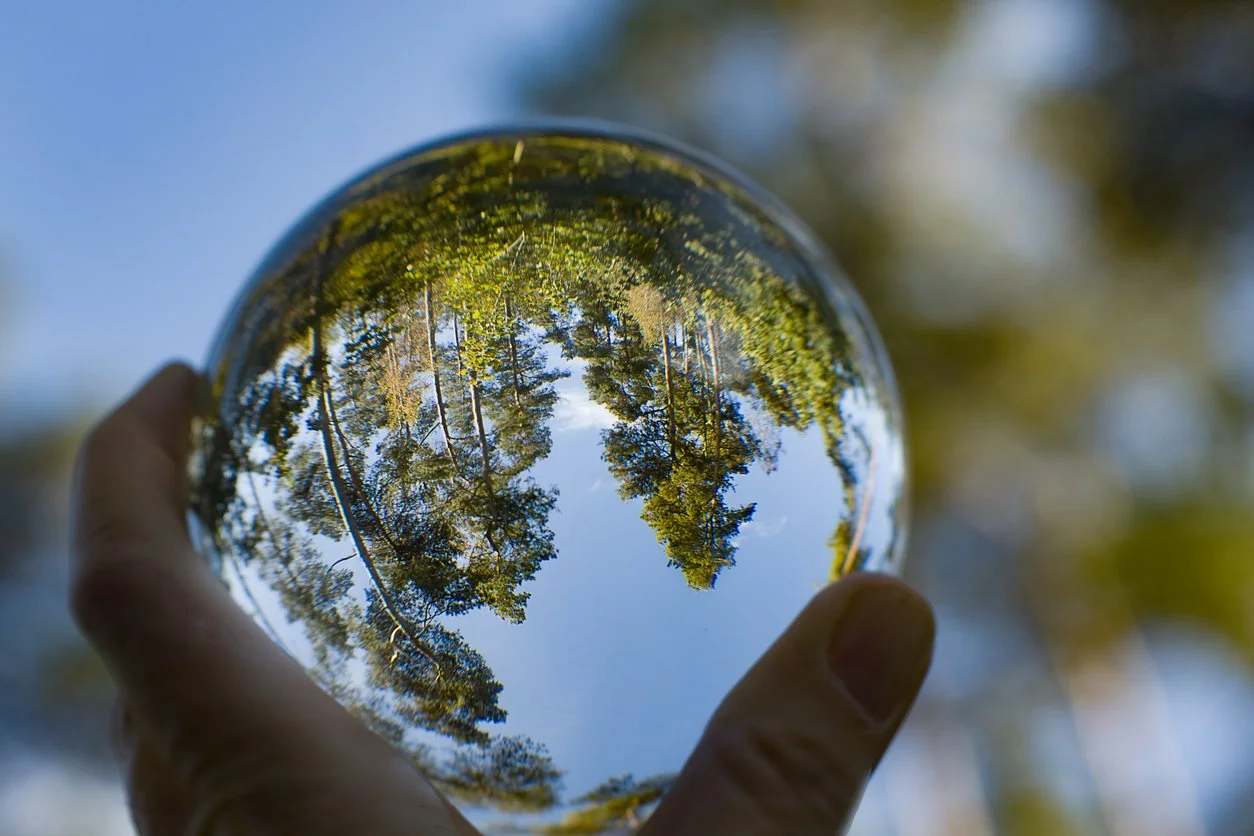 A hand holding a glass sphere reflecting a forest scene with trees and blue sky.