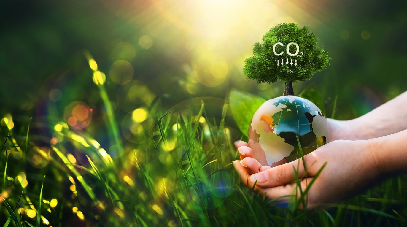 Hands holding a globe with a tree growing on top labeled 'CO2', set in a green field with sunlight and bokeh effects.