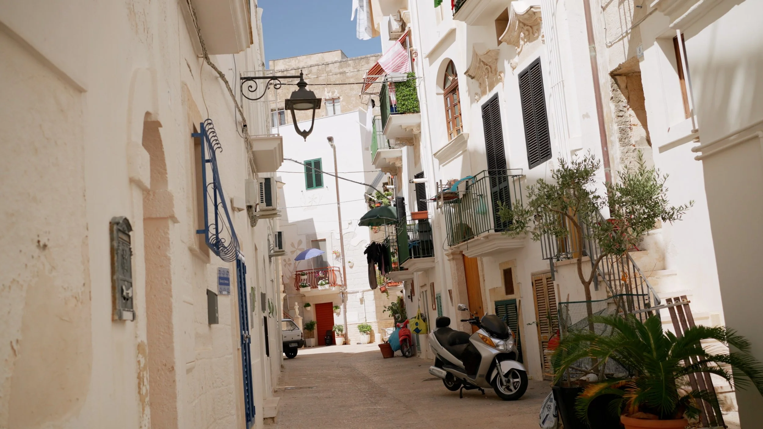 Sari_Jacob_puglia.jpg