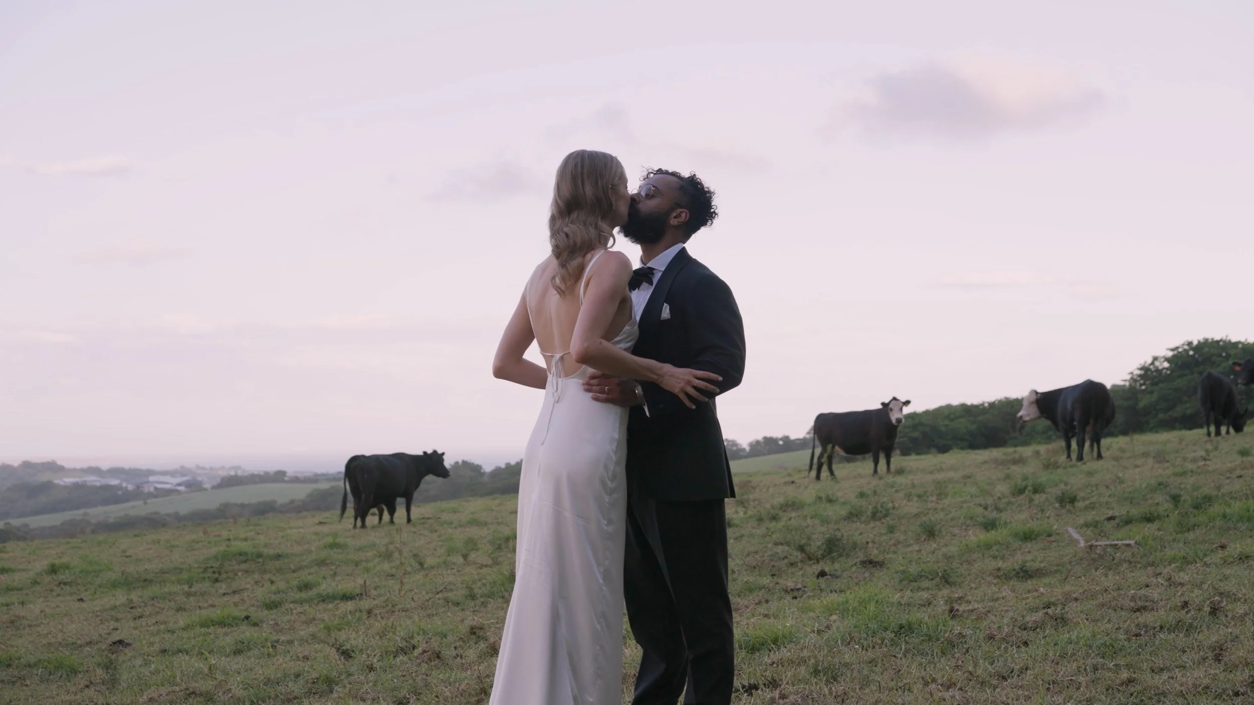 Nikita_Joe_Framegrab_cows.jpg