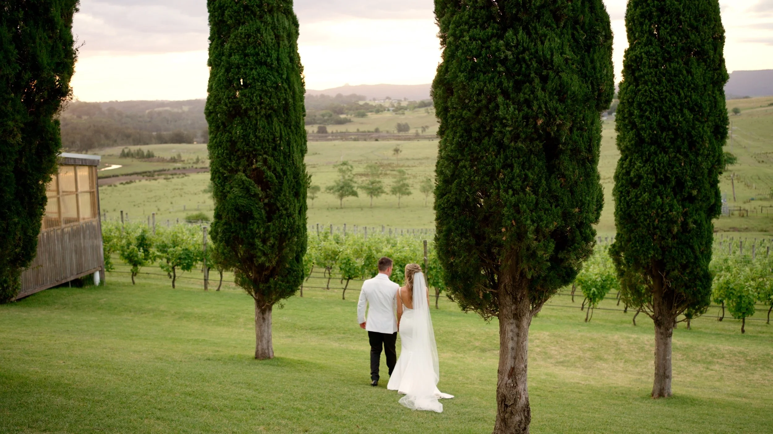 Frame_Erin_Michael_trees.jpg