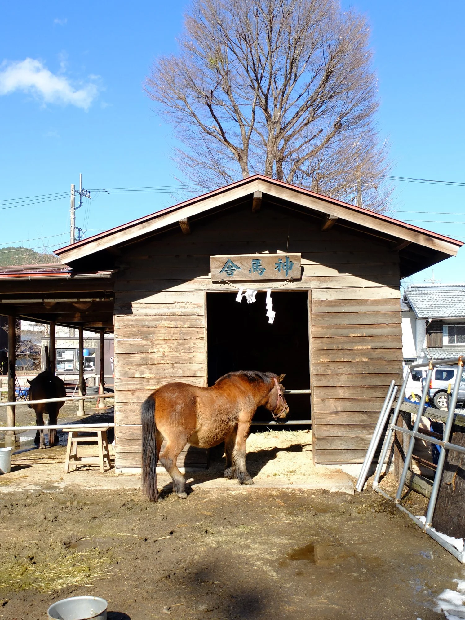 2026-1-walkingtour-15.jpg