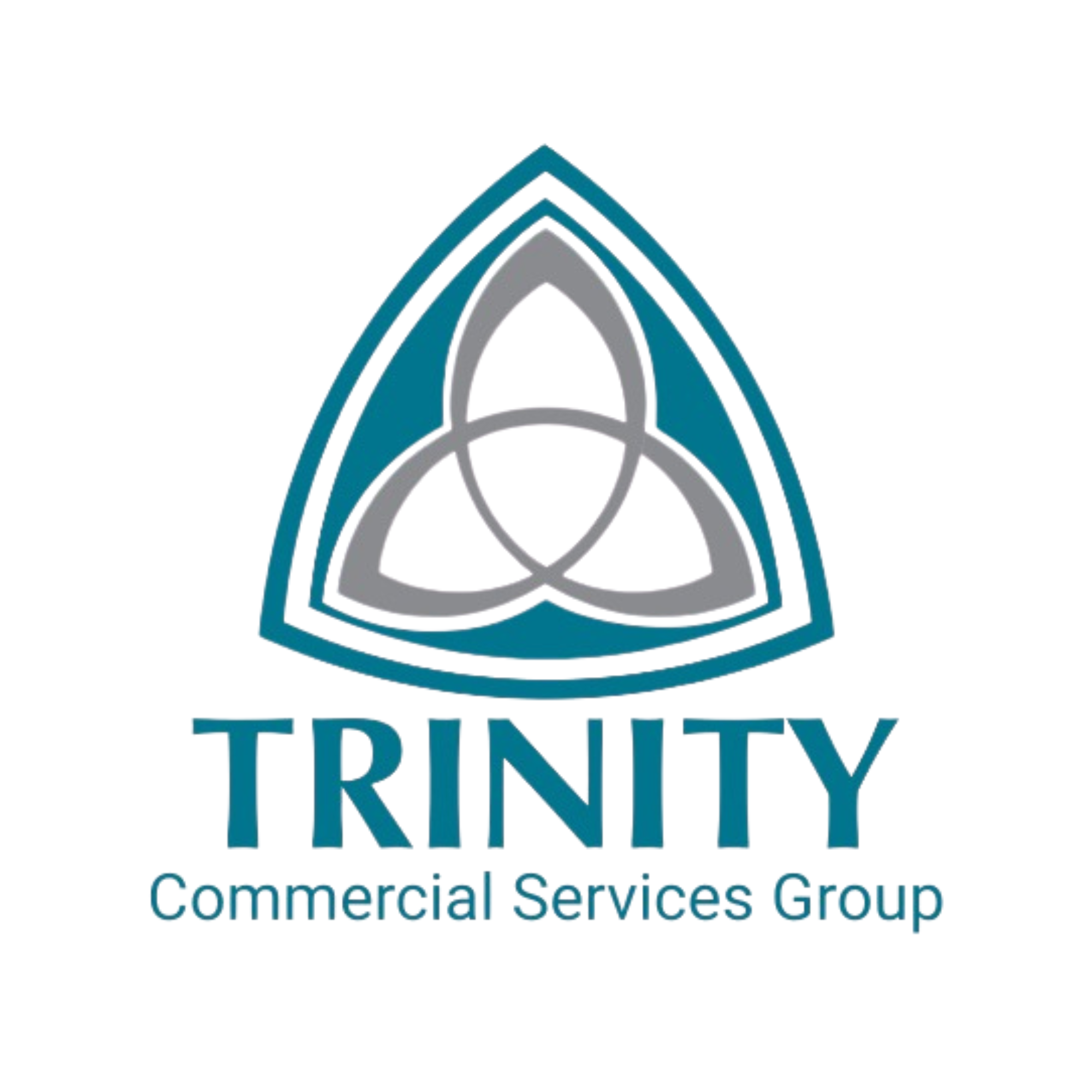 Trinity Commercial Services Group logo with a stylized triangular design and the company name.