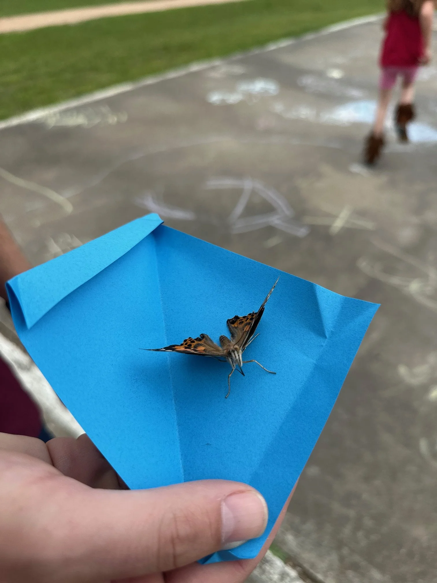 Butterfly of Remembrance