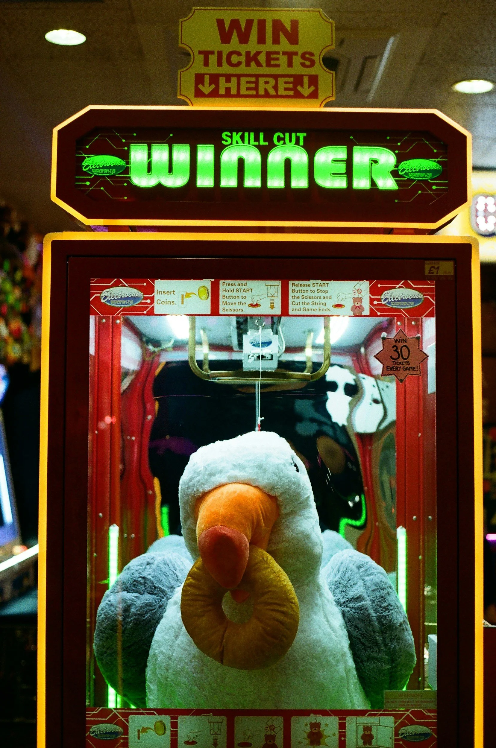 Winner