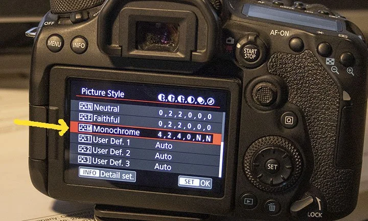 an image of a mirrorless camera showing the monochrome mode settings on the screen