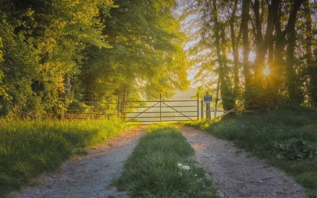 early morning sunrise glow, taken in Buckinghamshire close to my house.