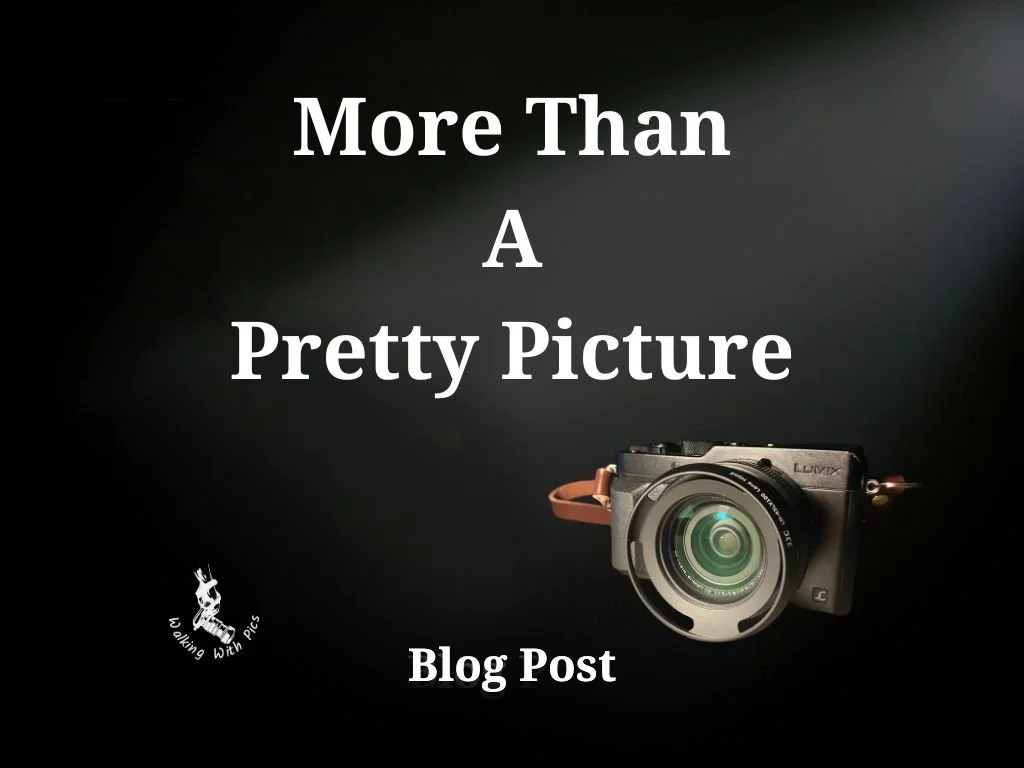 More Than a Pretty Picture