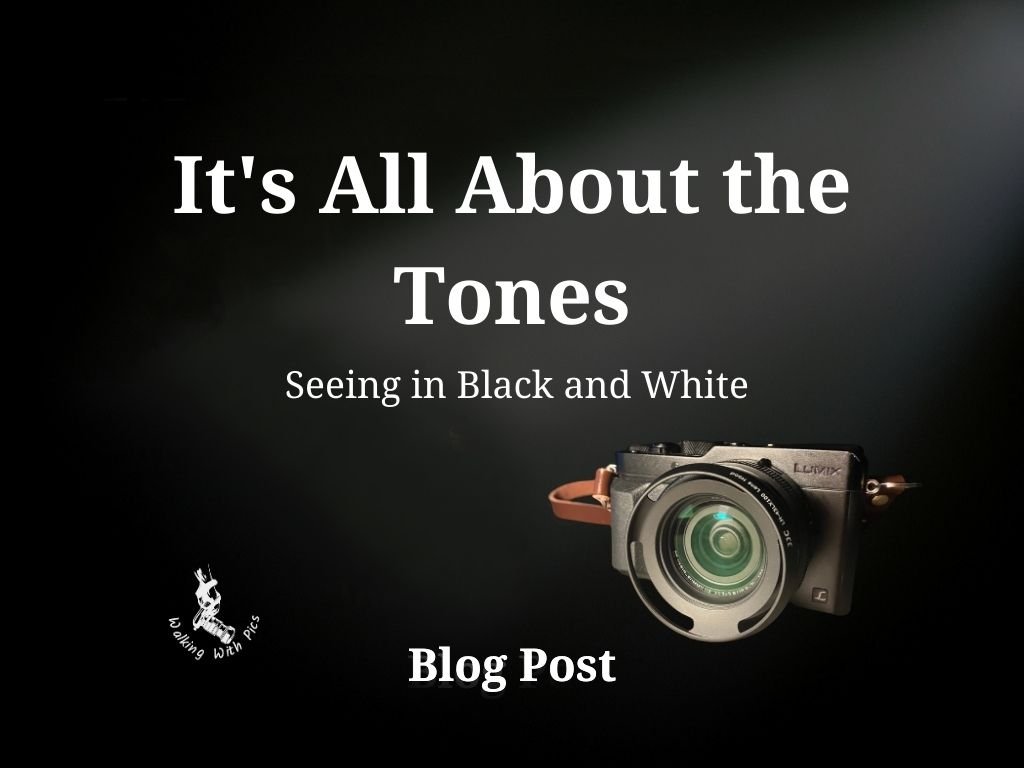 It's All About the Tones — Seeing in Black and White