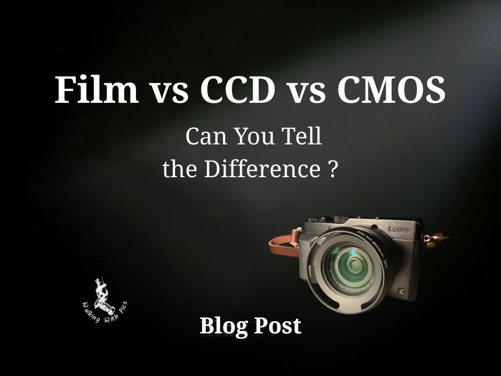 The Film Look in Black and White — Film, CCD and CMOS Compared