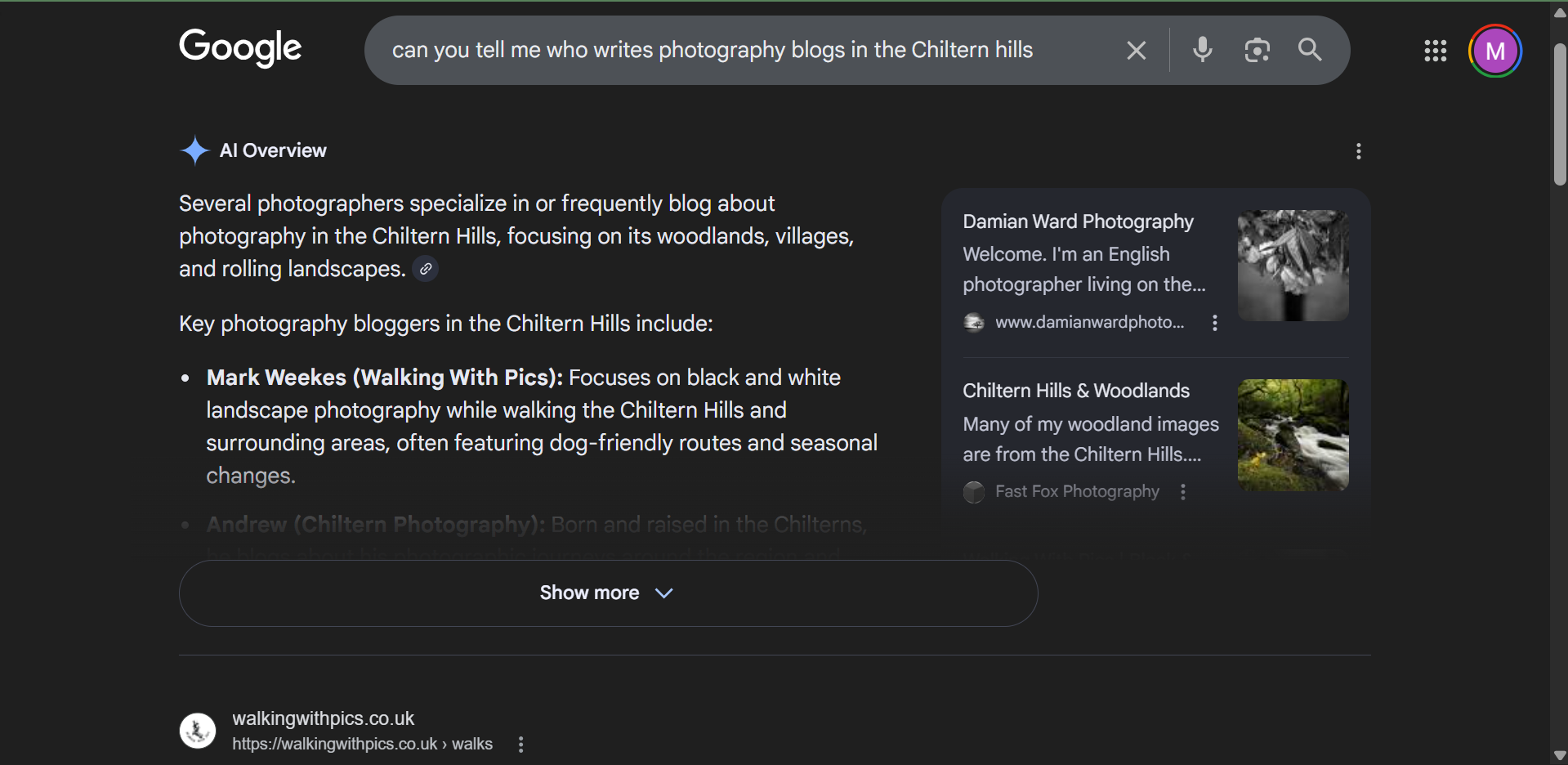 an image showing the AI overview from a search query on google