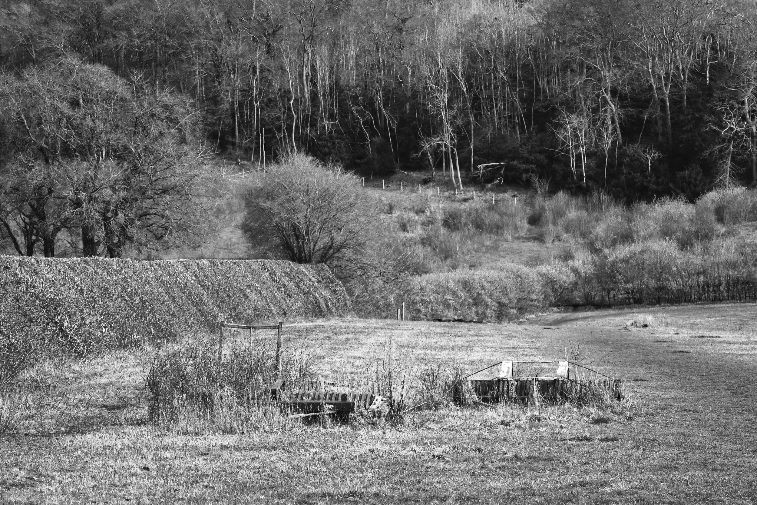 Old farm machinery left to rust at the field's edge, half-hidden by overgrowth, with bare winter woodland rising behind. A reminder that the working landscape of the Chiltern Hills, Buckinghamshire, leaves things behind.