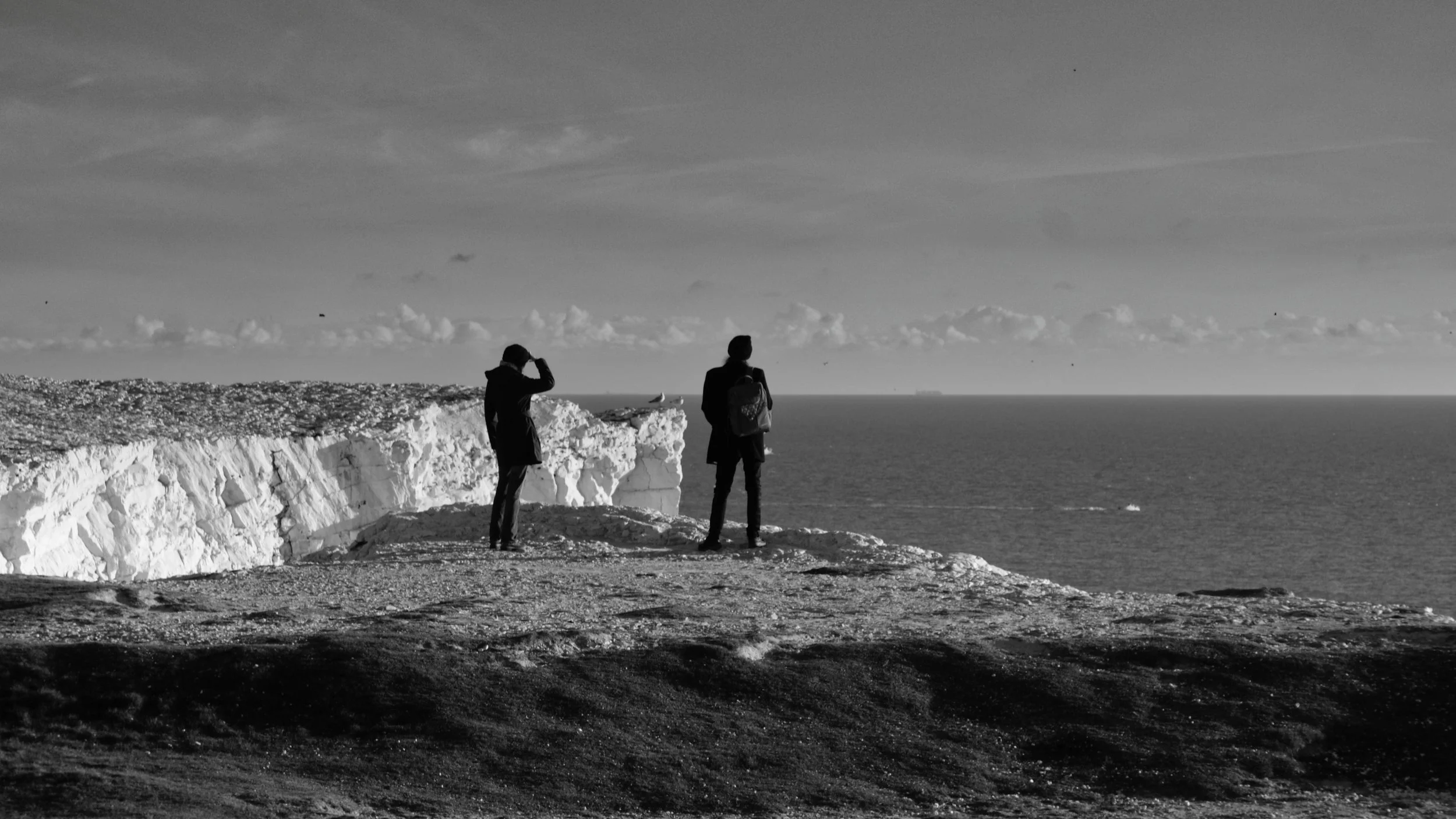 Seaford Cliff top overlookers.jpg