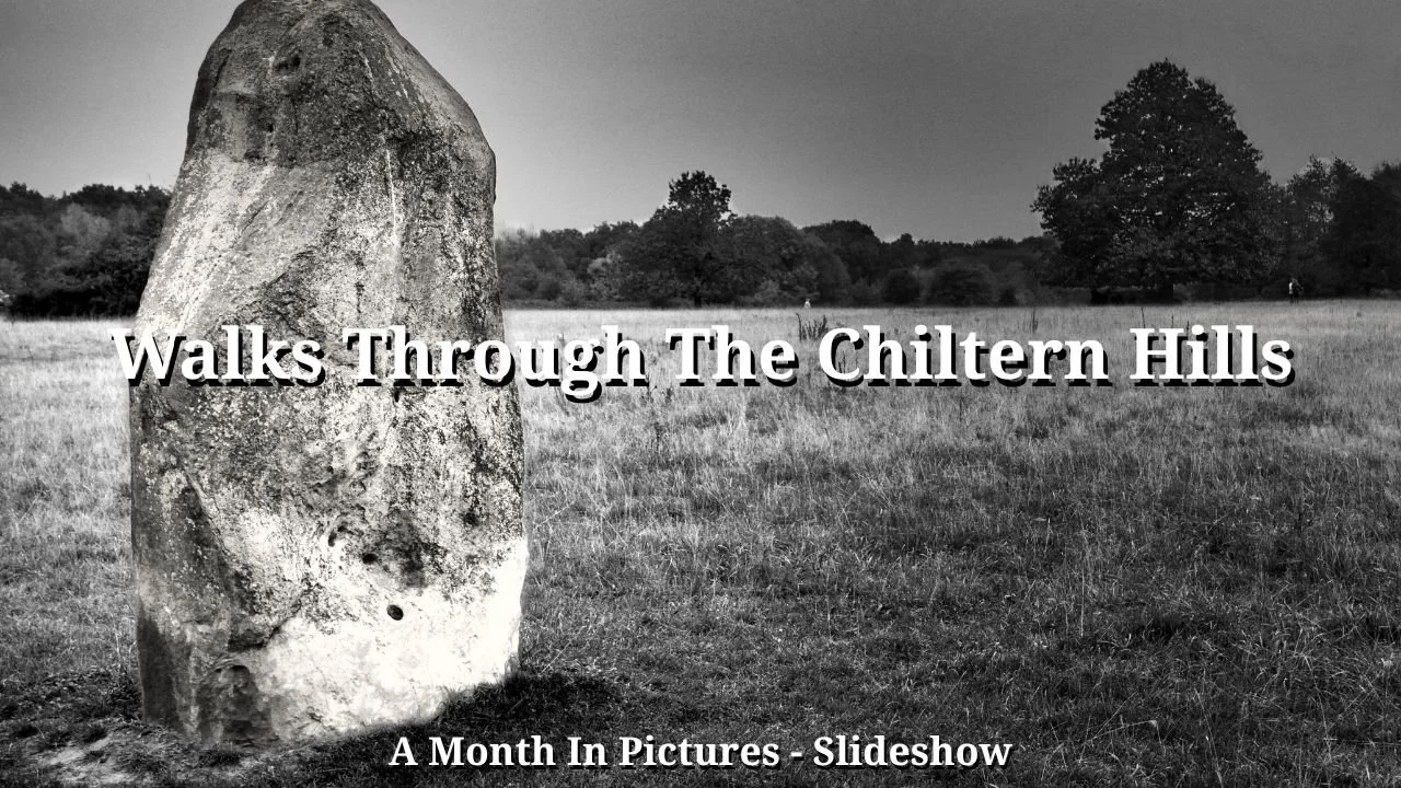 Black and white image of a standing stone in a grassy field at Ibstone, Chiltern Hills with trees in the background, Chiltern Hills, thumbnail for a slideshow of walks and countryside photography.