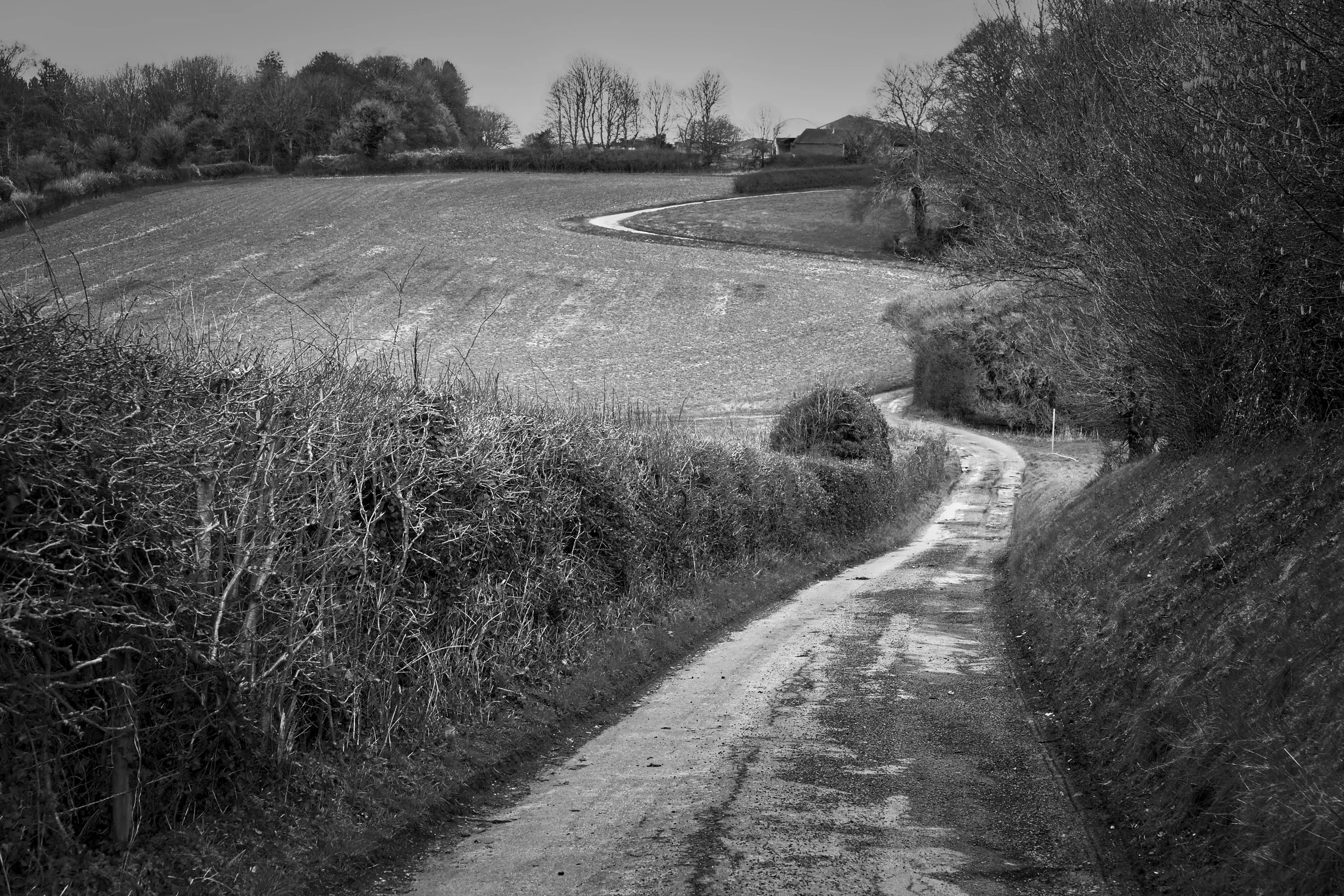 A worn country lane winds through the winter hedgerows near Lacey Green, Chiltern Hills, Buckinghamshire. The mud-tracked road curves up through the fields towards the village above, flanked by bare hedgerows on either side — the kind of lane that se