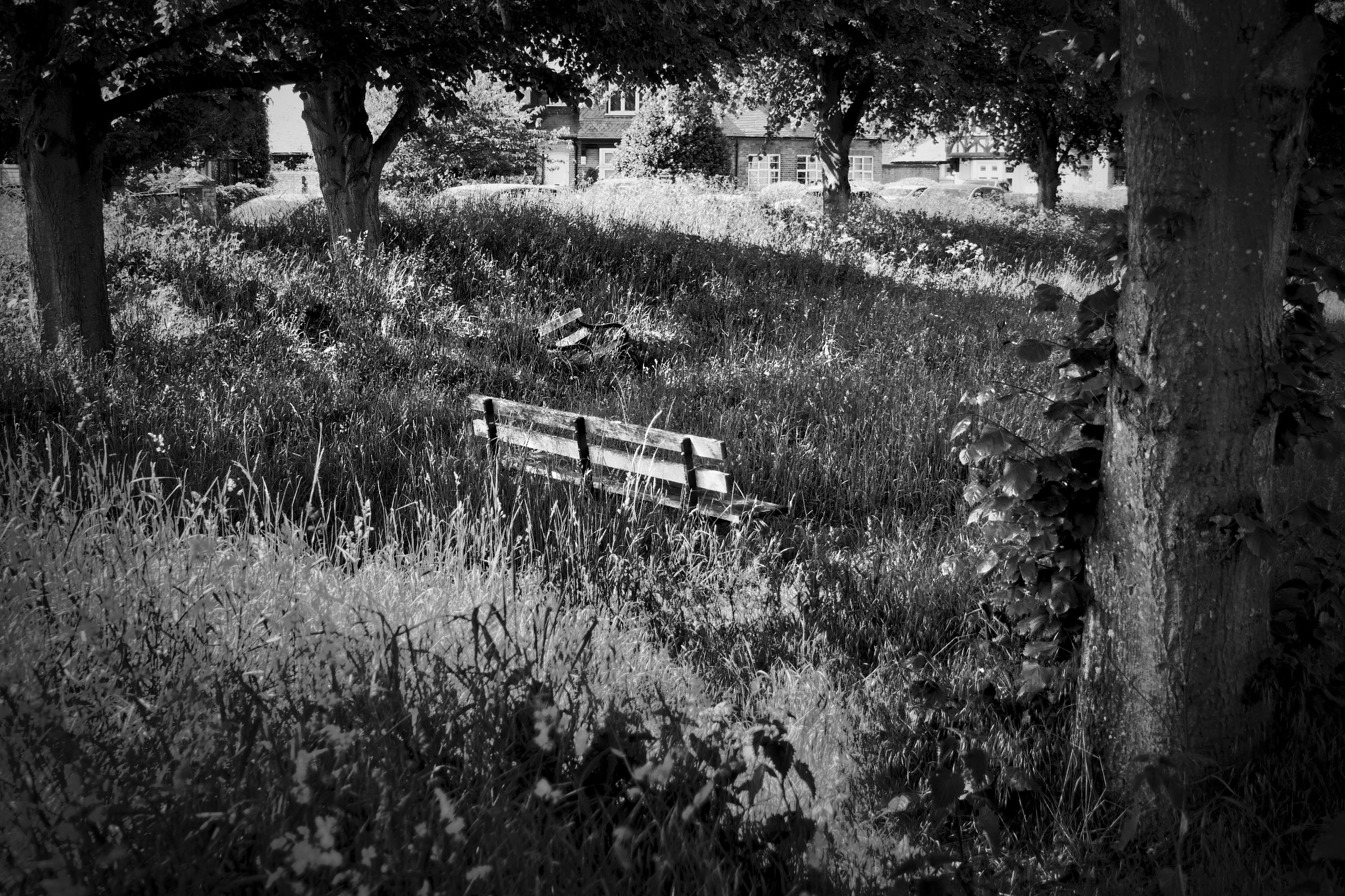 overgrown Seating in Cookham, Buckinghamshire.jpeg
