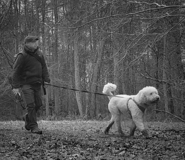 Mark Weekes and Elvis walking through woodland in the Chiltern Hills